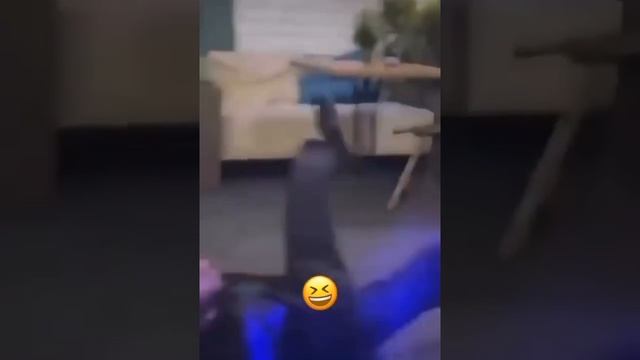 Полет Мурада / Мурат Взлетел / Мурад улетел / Мурад легенда полёт от Хизы смотреть онлайн