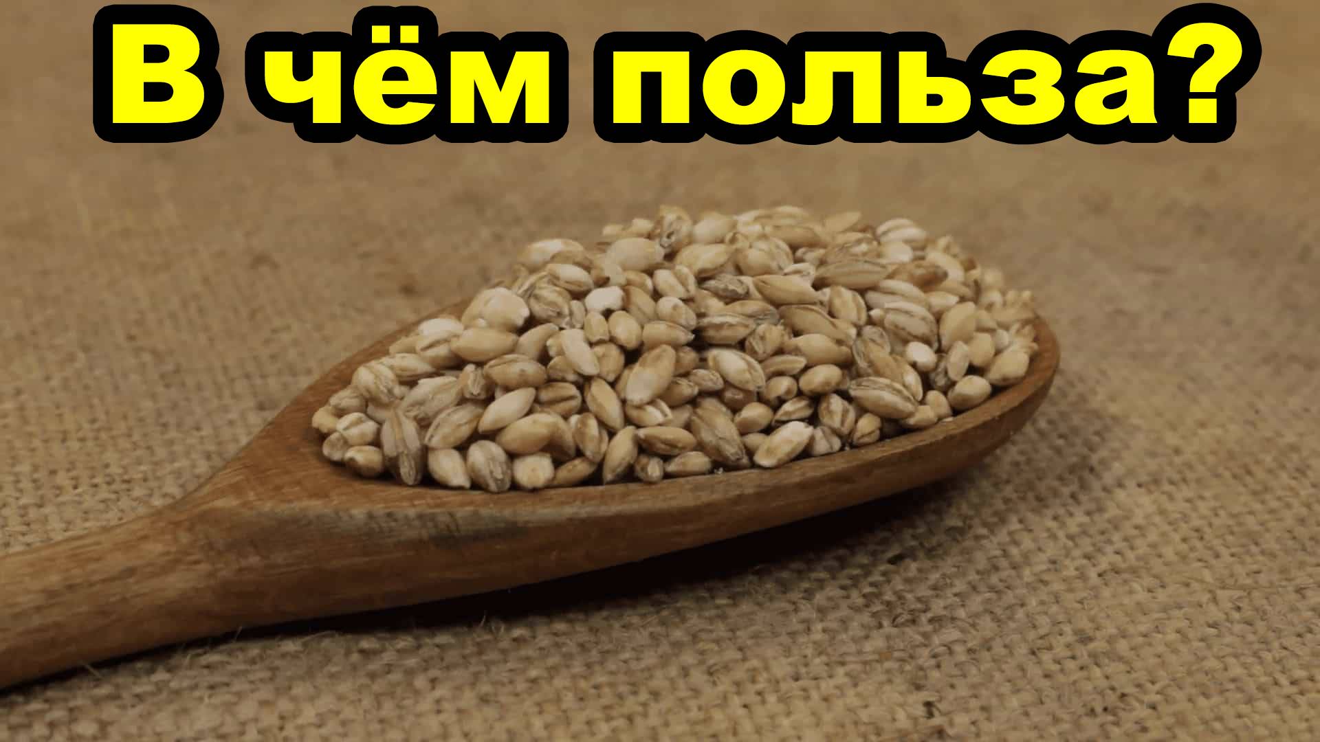 В чём польза ячменя для организма человека?
