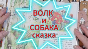 Читаю короткую сказку Волк и собака