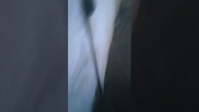 Газ 560 Штаер,как подключить свечи накала к приборной панели нового образца смотреть онлайн