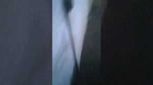 Газ 560 Штаер,как подключить свечи накала к приборной панели нового образца