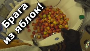 Кальвадос? Брага из яблок? Варенька для взрослых?