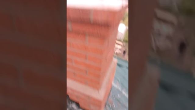 выдра - труба смотреть онлайн