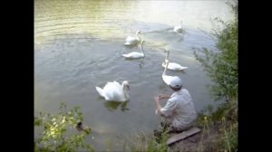 Дендропарк   Тростянец  Черниговская область