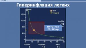Режим ASV на аппаратах ИВЛ фирмы Hamilton-Medical  (логика аппарата) Полупан А.А.