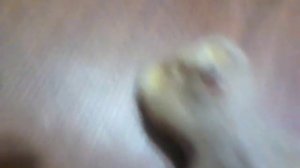 Поделки из опилок, (мишка)