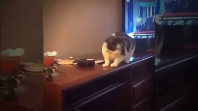 СМОТРИ И СМЕЙСЯ смотреть онлайн