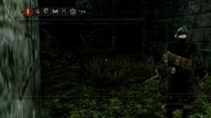 Полное прохождение Dark Souls 2 (PC) #2 - Преследователь и Последний Гигант