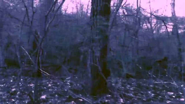 MORE FUN TIMES AT THE͙ S͙w͙a͙m͙p͙ (Creepypasta) [READ/REACT] смотреть онлайн