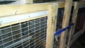 Калифорнийский Крол!Продажа!