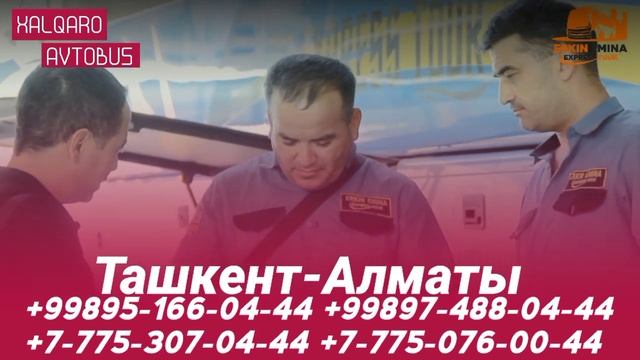 Ташкент Алматы автобус +998951660444 смотреть онлайн