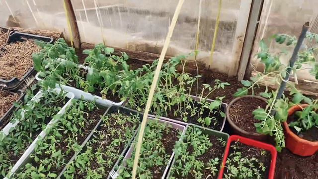 ПРОСТАЯ ЖИЗНЬ В ДЕРЕВНЕ.КАК ВЕДЕМ СВОЕ ХОЗЯЙСТВО🤷♀️👍