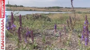 Амвросиевский каньон и скалы на реке Крынка. Первобытная природа ДНР