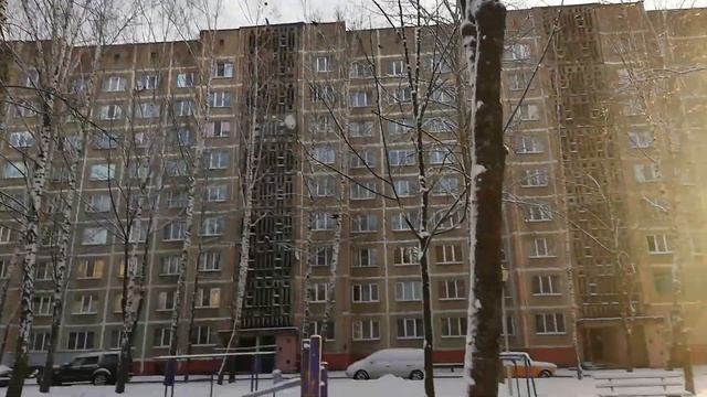 Грачи свили гнездо на березе, Мозырь, улица Малинина, 10.03.2033 смотреть онлайн