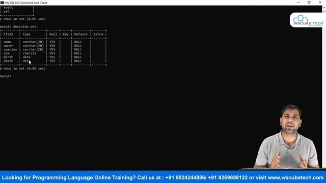 Basic use of Simple Queries in SQL (Practically) Class 12 | MySQL Simple Queries Python Class 12