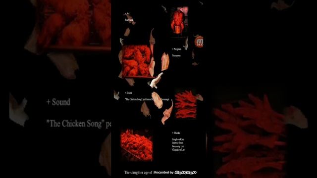 опасная игра может ваш питомец смотреть онлайн