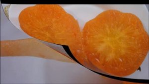 Очень урожайный и вкусный Томат сорт Вольф Зоси