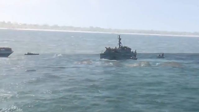 Случаи С Животными, Которым Невероятно Повезло смотреть онлайн