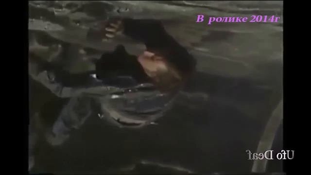 Похищение Трэвиса Уолтона НЛО в 1975 году.