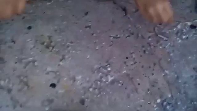 VLOG?помощь без домным смотреть онлайн