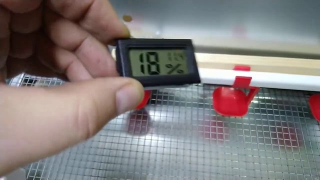 Обзор/Купить гигрометр термометр для брудера утят интернет магазин/Большой фермер смотреть онлайн