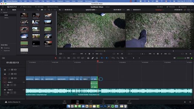How to Edit a Vlog in Davinci Resolve 16 (Sunflower Maze tutorial)