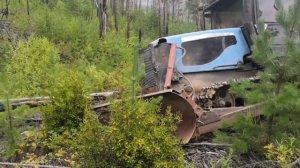 Заезжаем в лес!!! Агромаш 90 (дт 75) трелевка леса)