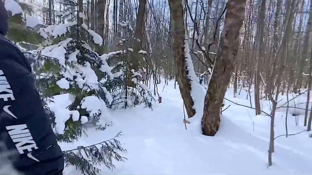 Нашли кладбище домашних животных