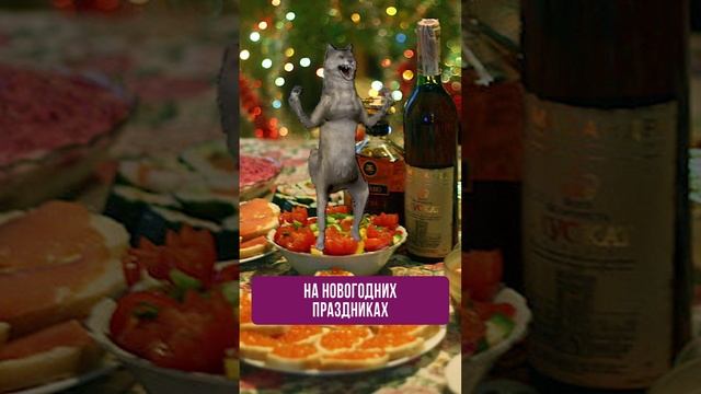 Работа до новогодних праздников и после  #rosco #приколы #юмор
