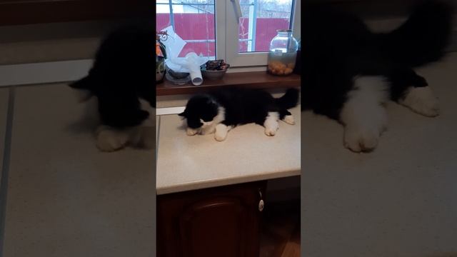 мама ,а где праздник? смотреть онлайн