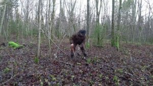 КОМОК в ГОРЛЕ, не СМОГ ГОВОРИТЬ!!! ПОИСК ЗЛАТА СЕРЕБРА!