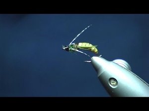 Мушка VN Caddis Pupa.