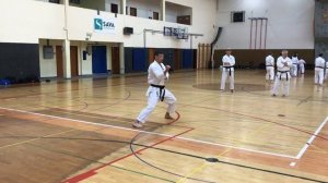 Kancho Nobuaki Kanazawa 8.DAN, kata Tekki Nidan (SKIF).