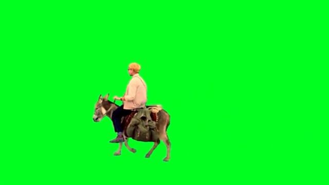 Футаж хромакей. С персонажами фильмов Гайдая на зелёном фоне. Шурик на осле