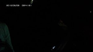 ГАИ Донецка борзые ночники