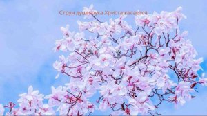 Струн души рука Христа касается