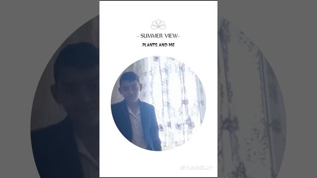 цыганский кайф Живи как надо????????? смотреть онлайн