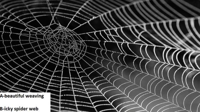 Optimist or pessimist? смотреть онлайн