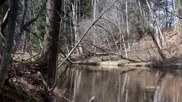 Не ставьте лодку под надломленным деревом. смотреть онлайн