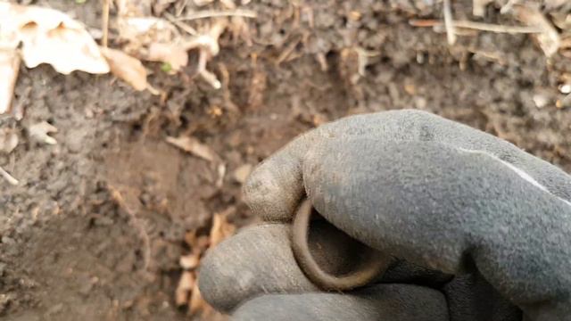 Wehrmacht axe roman ring and Hungarian dog tags смотреть онлайн