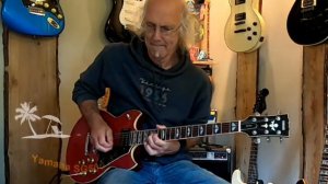 Yamaha SG 500  (80 ties)