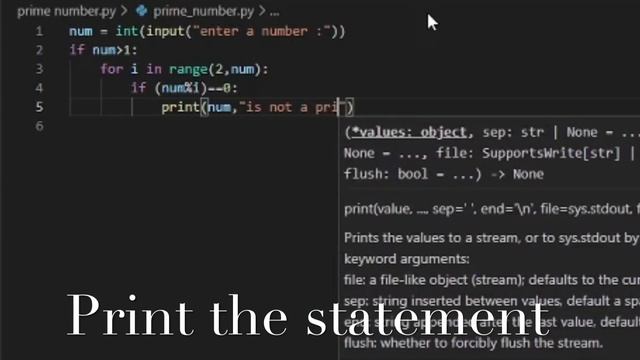 How to Find a Prime Number Using python Programing|Sai Aditya ...