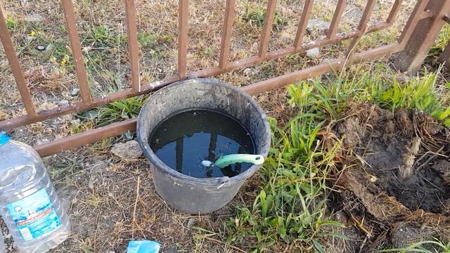 Подкормила "Зеленой Бродилкой" вонючкой -  кусты роз ПОЛЬКА- ОРГАНИКА ИМ В ПОМОЩЬ 25.06.22 год смотреть онлайн