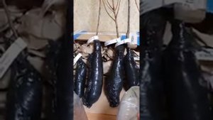 ЧЕСТНЫЕ ОТЗЫВЫ ПОКУПАТЕЛЕЙ! Интернет-магазин Гарденмарт