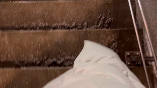 декабрьские хроники  книжная ярмарка и учеба