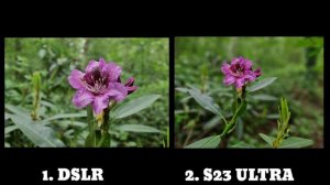 Galaxy S23 Ultra Vs DSLR Camera Test | Galaxy S23 Ultra Vs Sony Alpha A7ii Mirrorless Camera