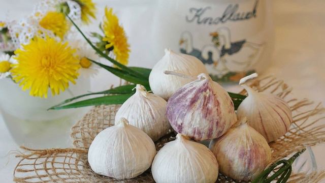 Top 10 Healthiest Vegetables In The World - Health Wisdom смотреть онлайн