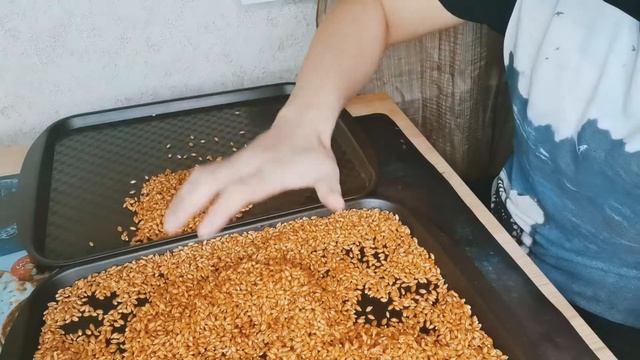 БИЗНЕС СОК ИЗ РОСТКОВ ПШЕНИЦЫ. ВИТГРАСС ЧАСТЬ 2. БИЗНЕС