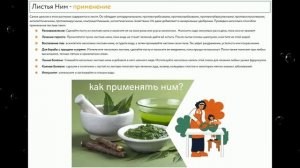 Дерево Ним | Листья дерева Ним, полезные свойства, чай из листьев Нима, против различных инфекций