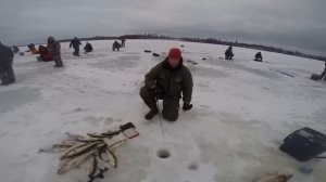 Ловля судака зимой на балансир.